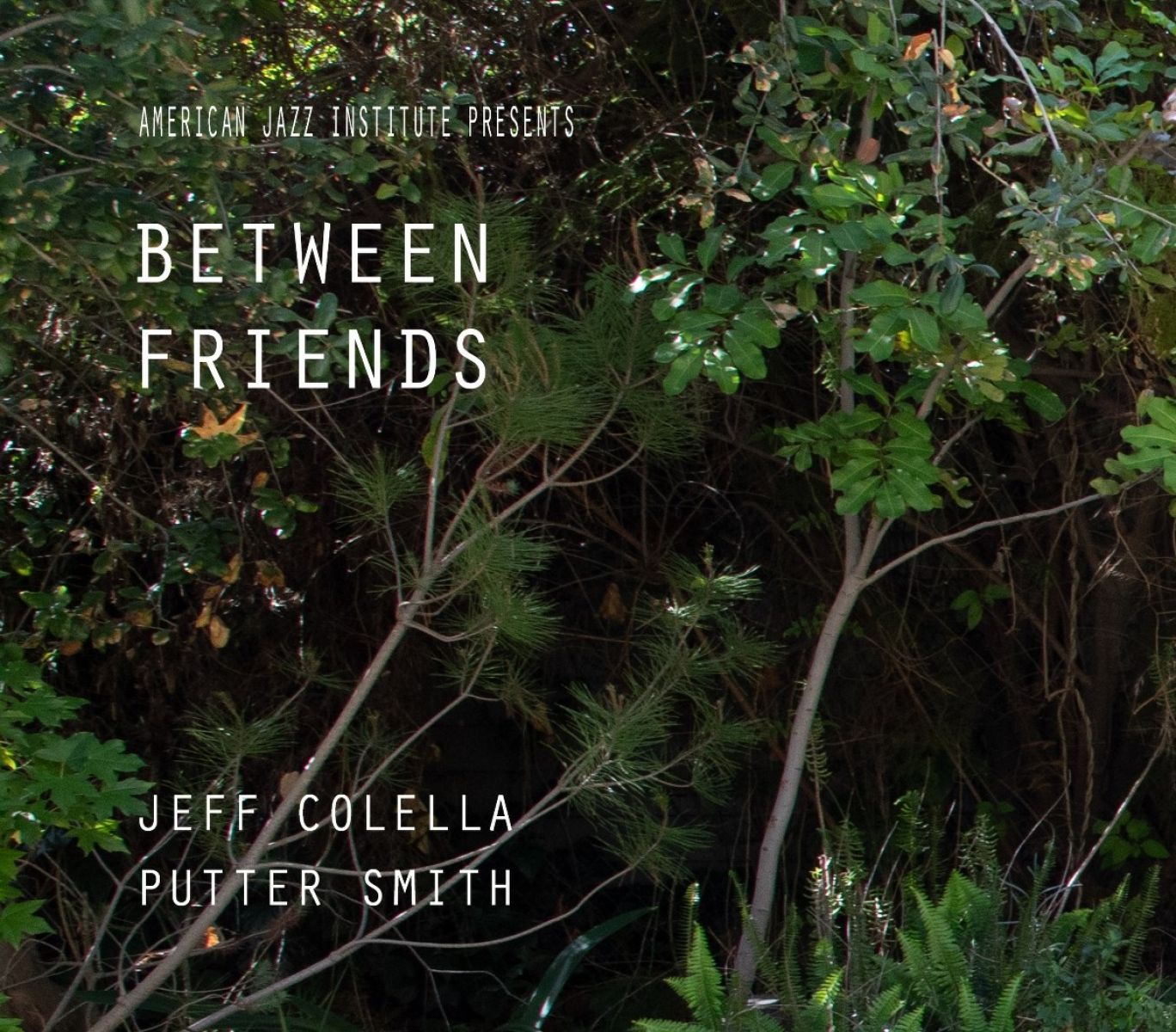 Afbeelding van Jeff Colella & Putter Smith - Between Friends