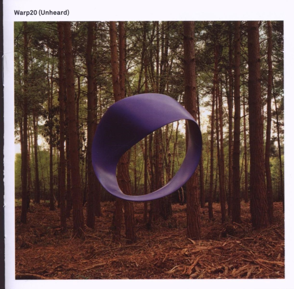 Afbeelding van Various Artists - Warp20 (Unheard)