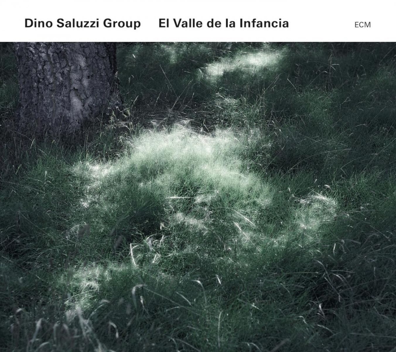 Afbeelding van Dino Saluzzi Group - El Valle De La Infancia