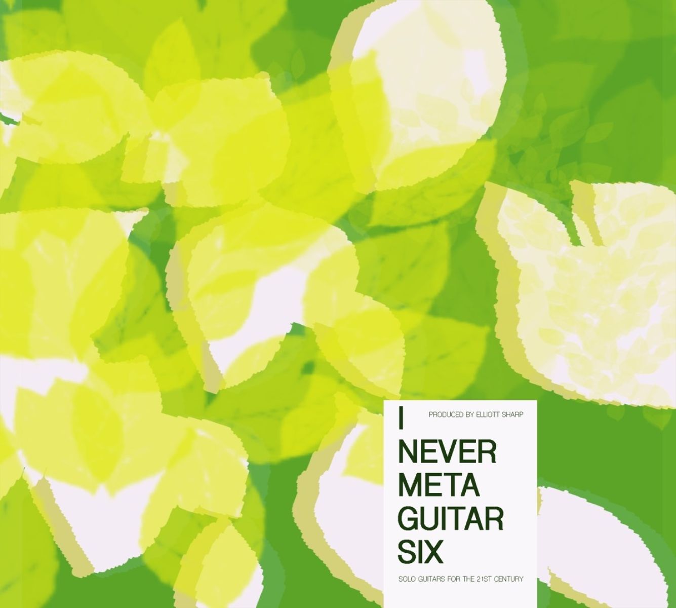 Afbeelding van Various Artists - I Never Metaguitar Six (Solo Guitars For The 21st Century)