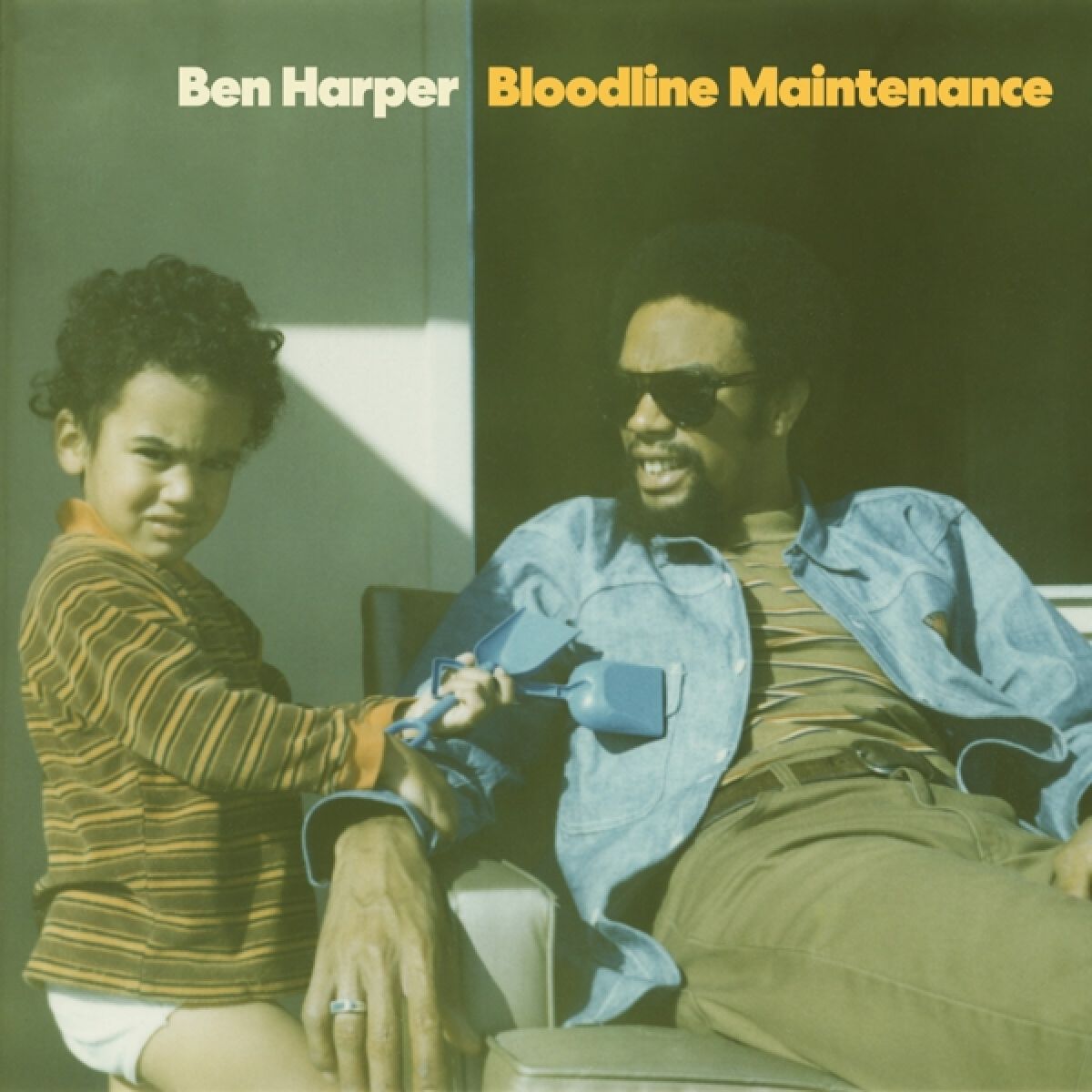 Afbeelding van Ben Harper - Bloodline Maintenance