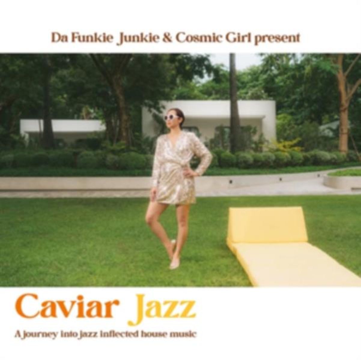 Afbeelding van Caviar Jazz - A Journey Into Jazz Inflected House Music