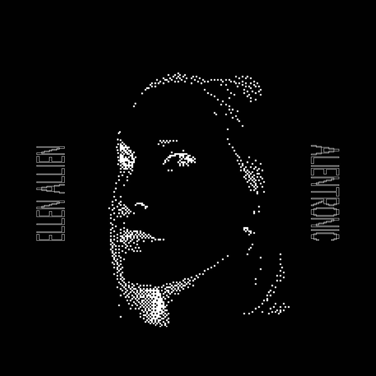 Afbeelding van Ellen Allien - Alientronic