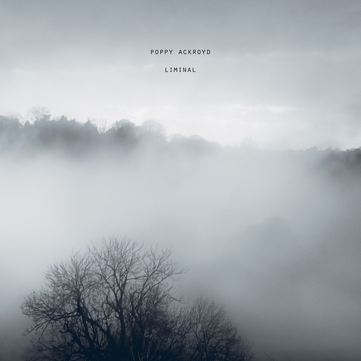 Afbeelding van Poppy Ackroyd - Liminal