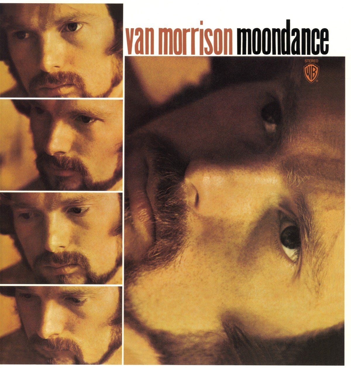 Afbeelding van Van Morrison - Moondance