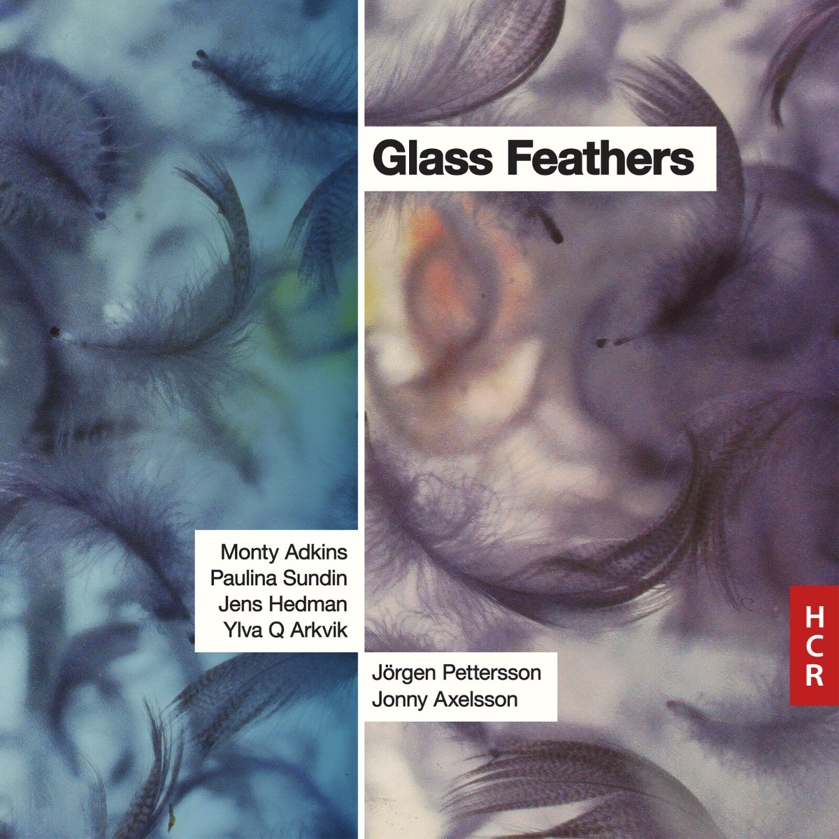 Afbeelding van Jörgen Pettersson, Paulina Sundin & Jens Hedman - Glass Feathers