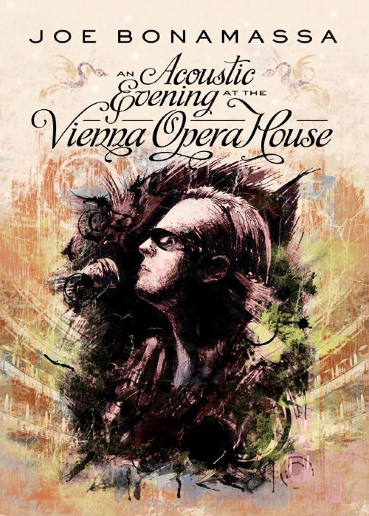 Afbeelding van An Acoustic Evening At The Vienna Opera House