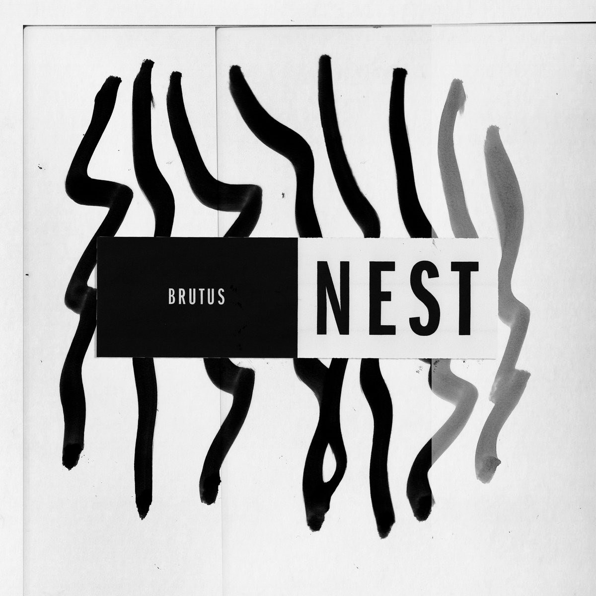 Afbeelding van Brutus - Nest