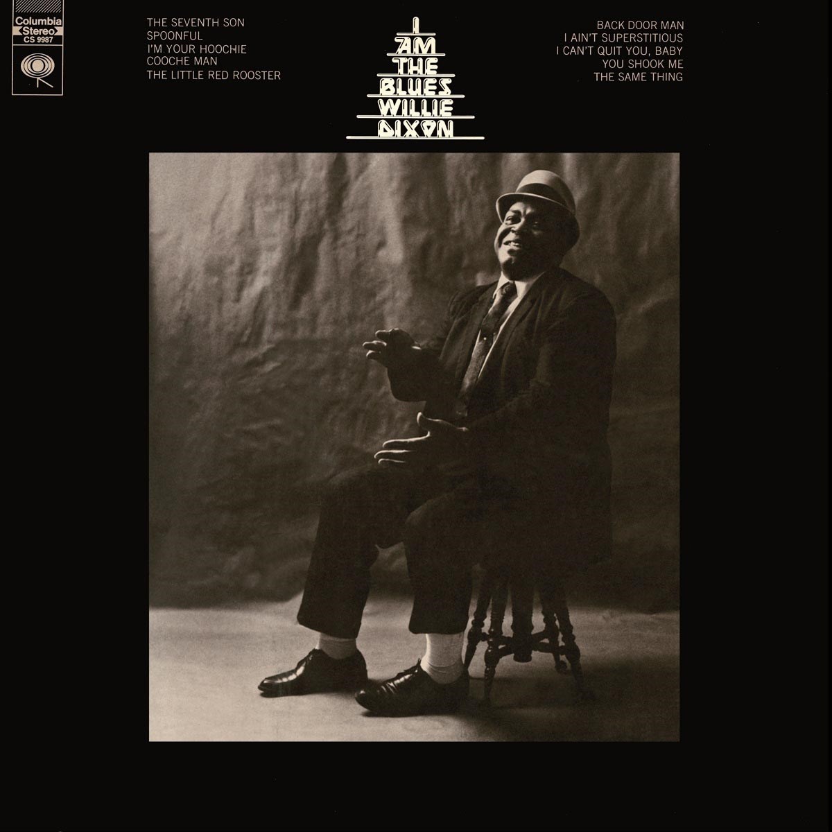 Afbeelding van I Am The Blues