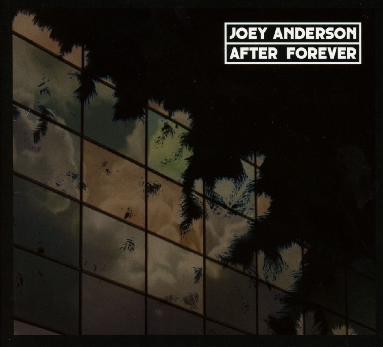 Afbeelding van Joey Anderson - After Forever