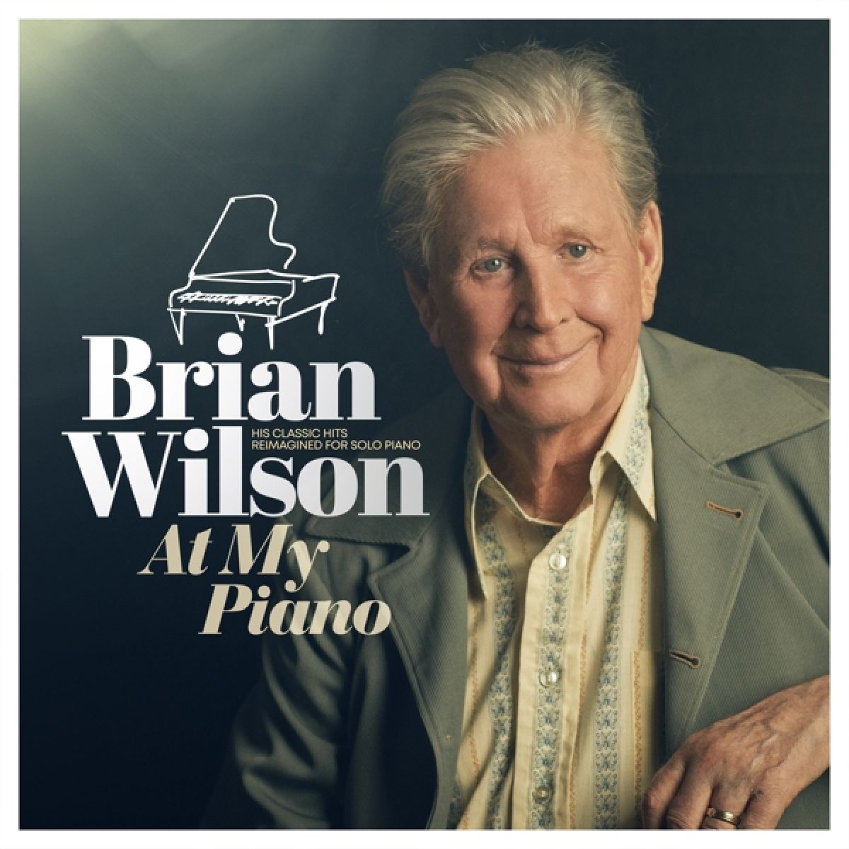 Afbeelding van Brian Wilson - At My Piano