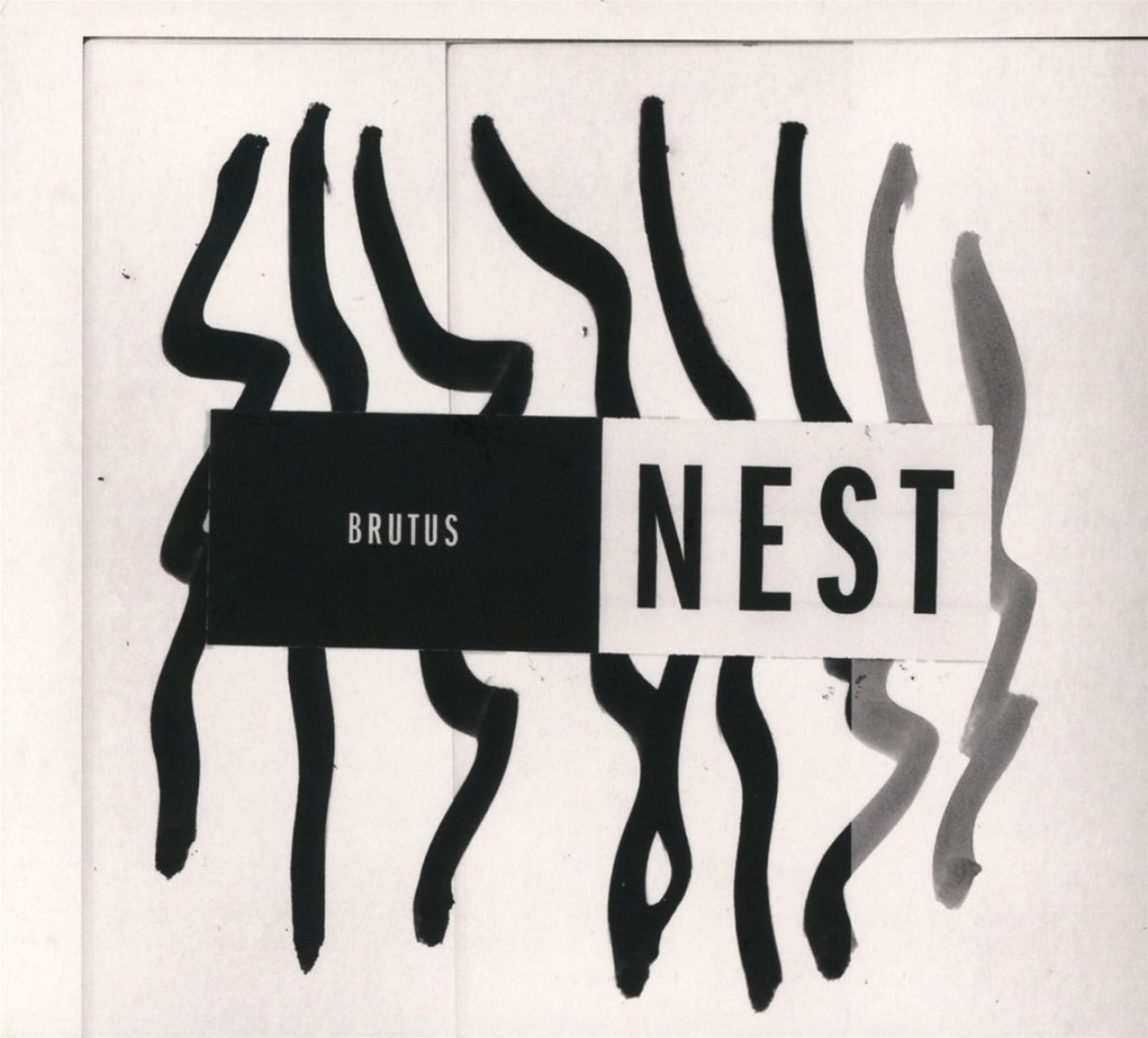 Afbeelding van Brutus - Nest