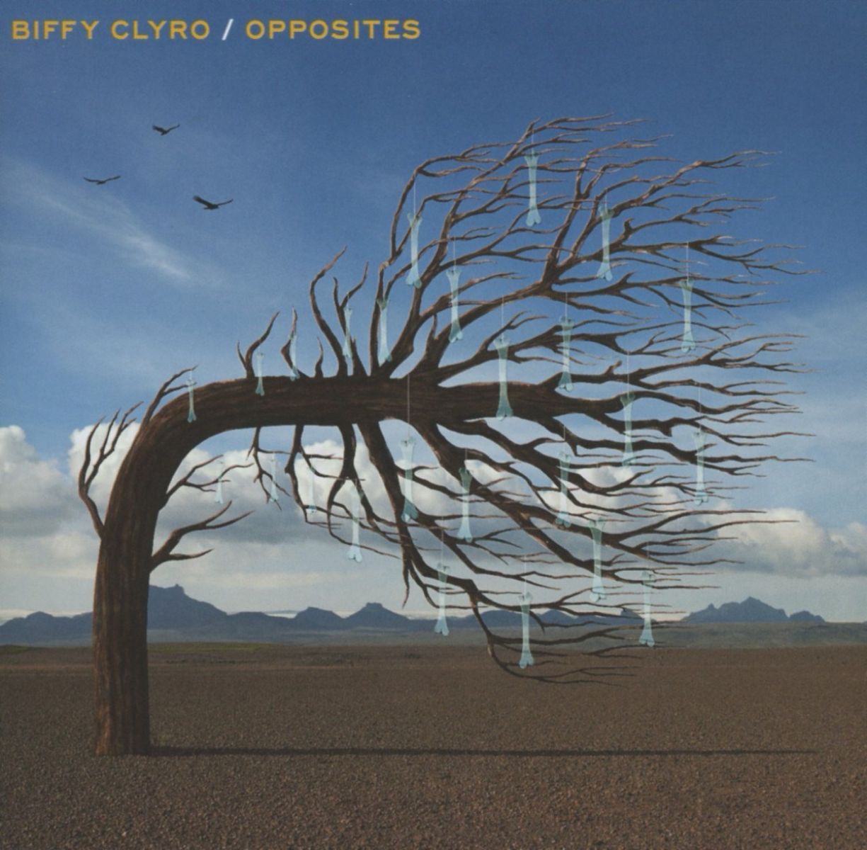 Afbeelding van Biffy Clyro - Opposites