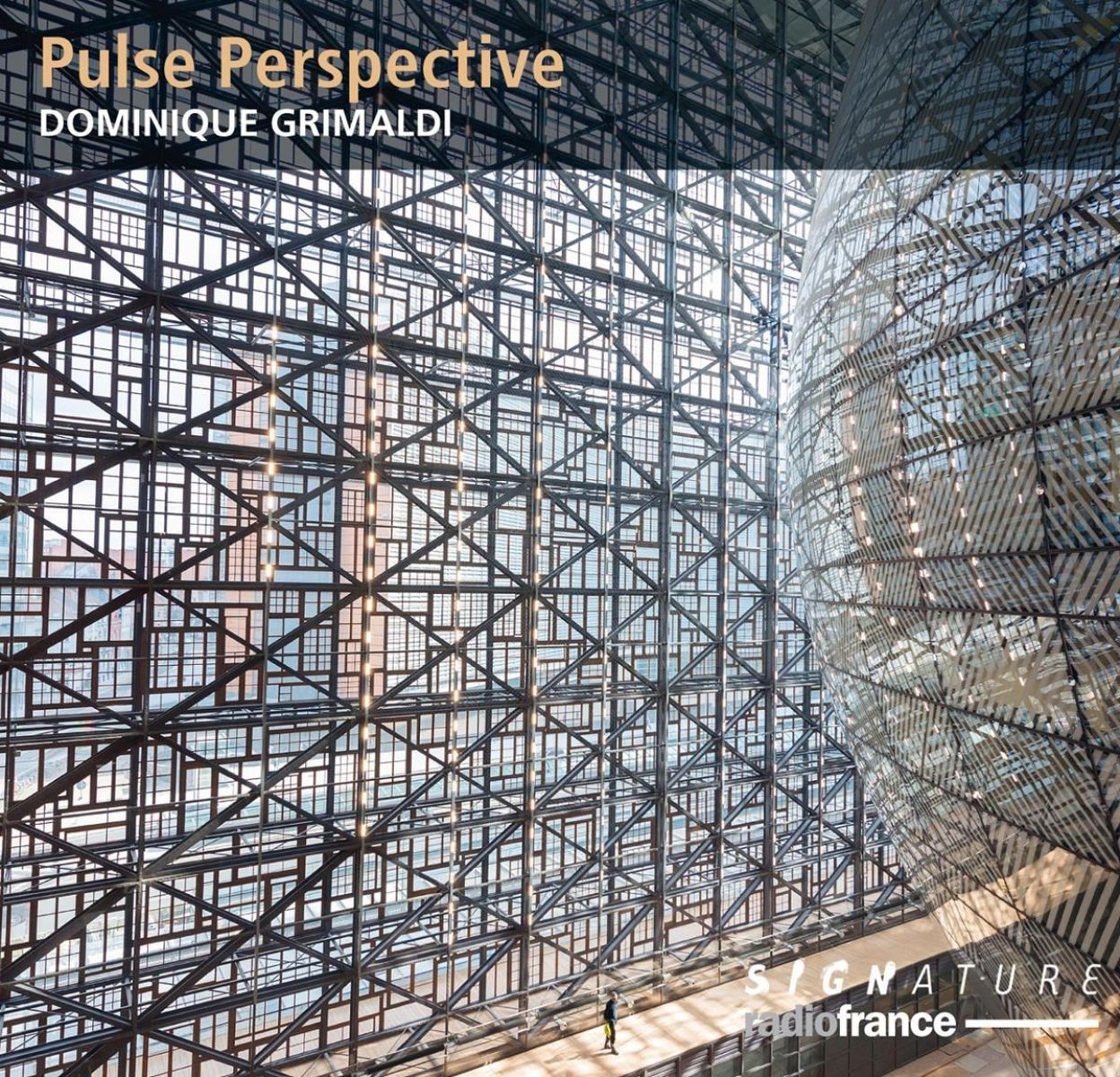 Dominique Grimaldi & Jean-Philippe Collard-Neven - Pulse Perspective