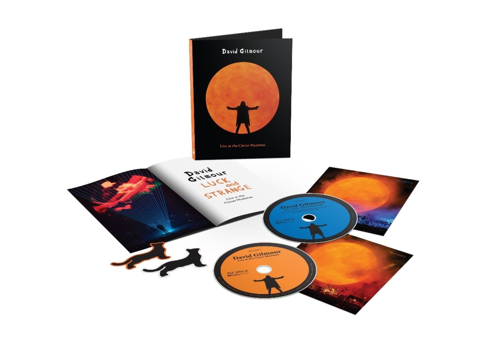 Afbeelding van David Gilmour - Live At The Circus Maximus