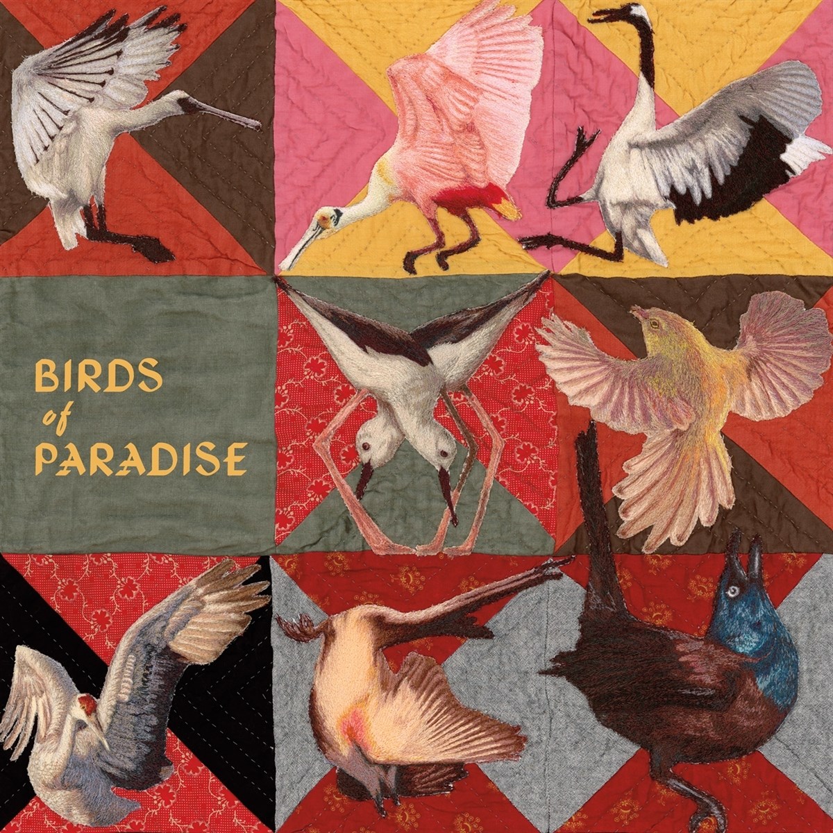 Afbeelding van Thomas Dollbaum - Birds Of Paradise