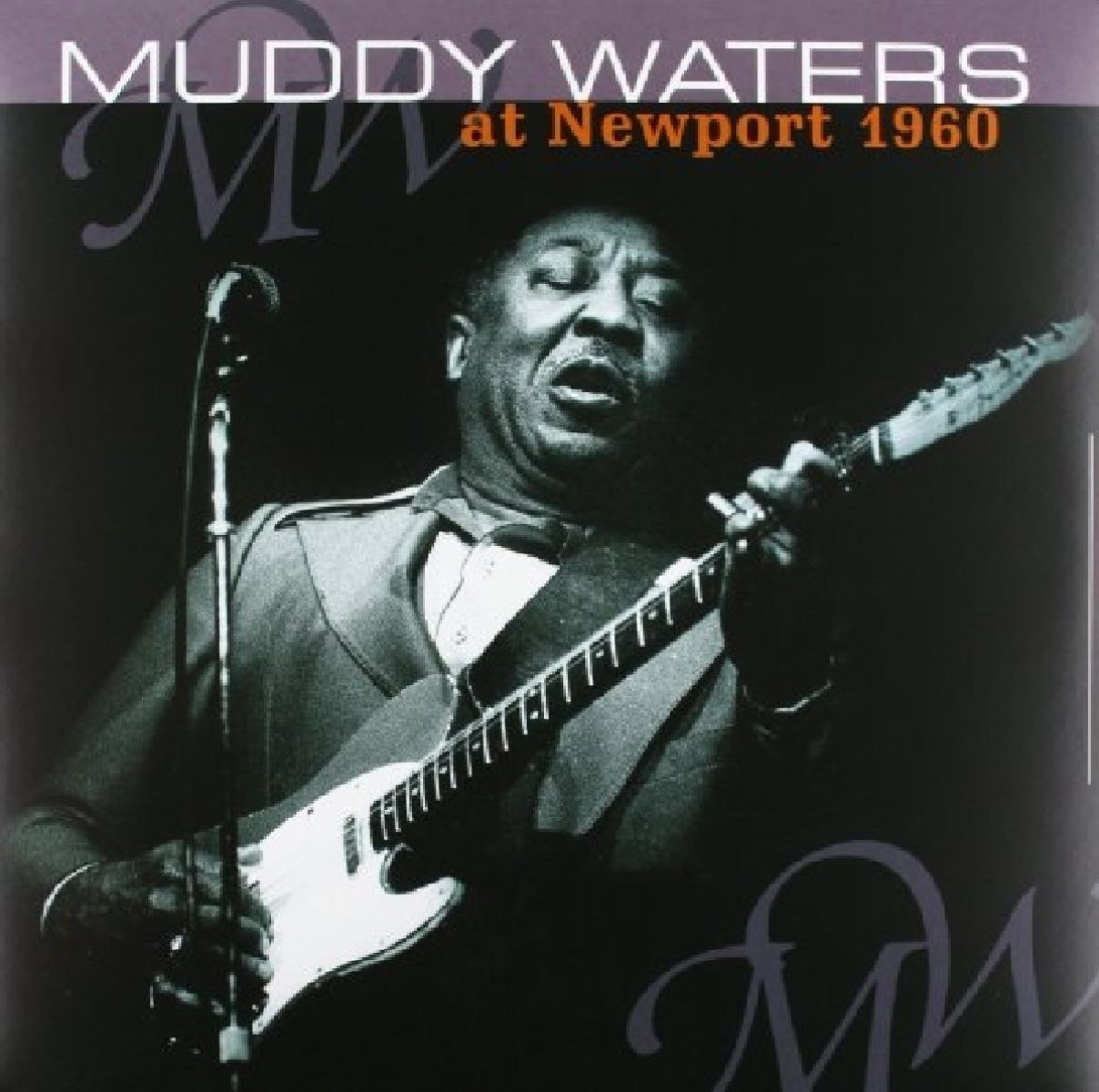 Afbeelding van At Newport 1960/ Muddy Waters Sings Big Bill