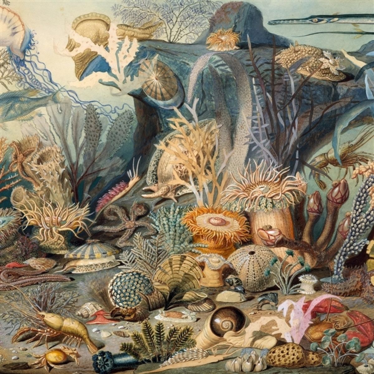Chypho - Episodes In Oceanography Vol. 2