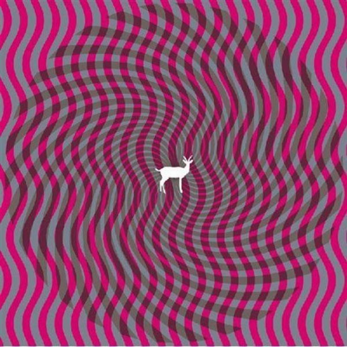Afbeelding van Cryptograms / Fluorescent Grey