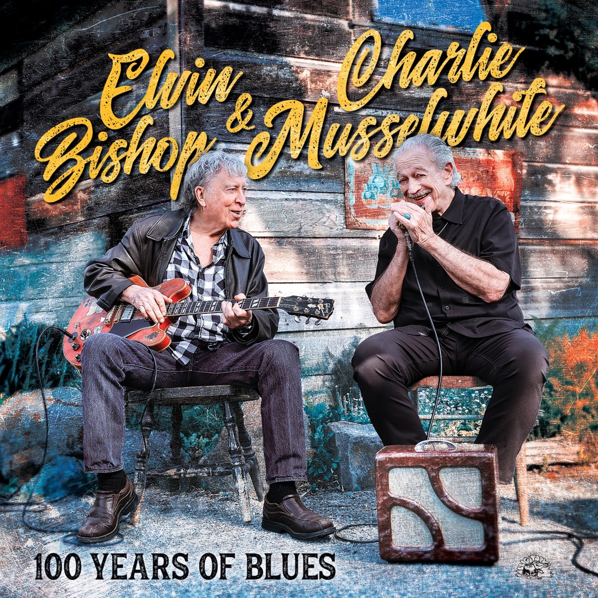 Afbeelding van 100 Years Of Blues