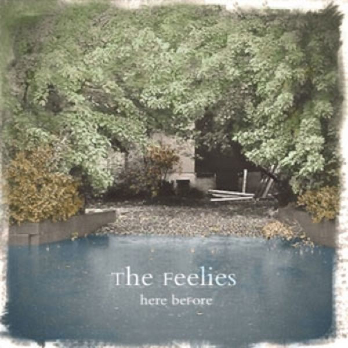 Afbeelding van The Feelies - Here Before