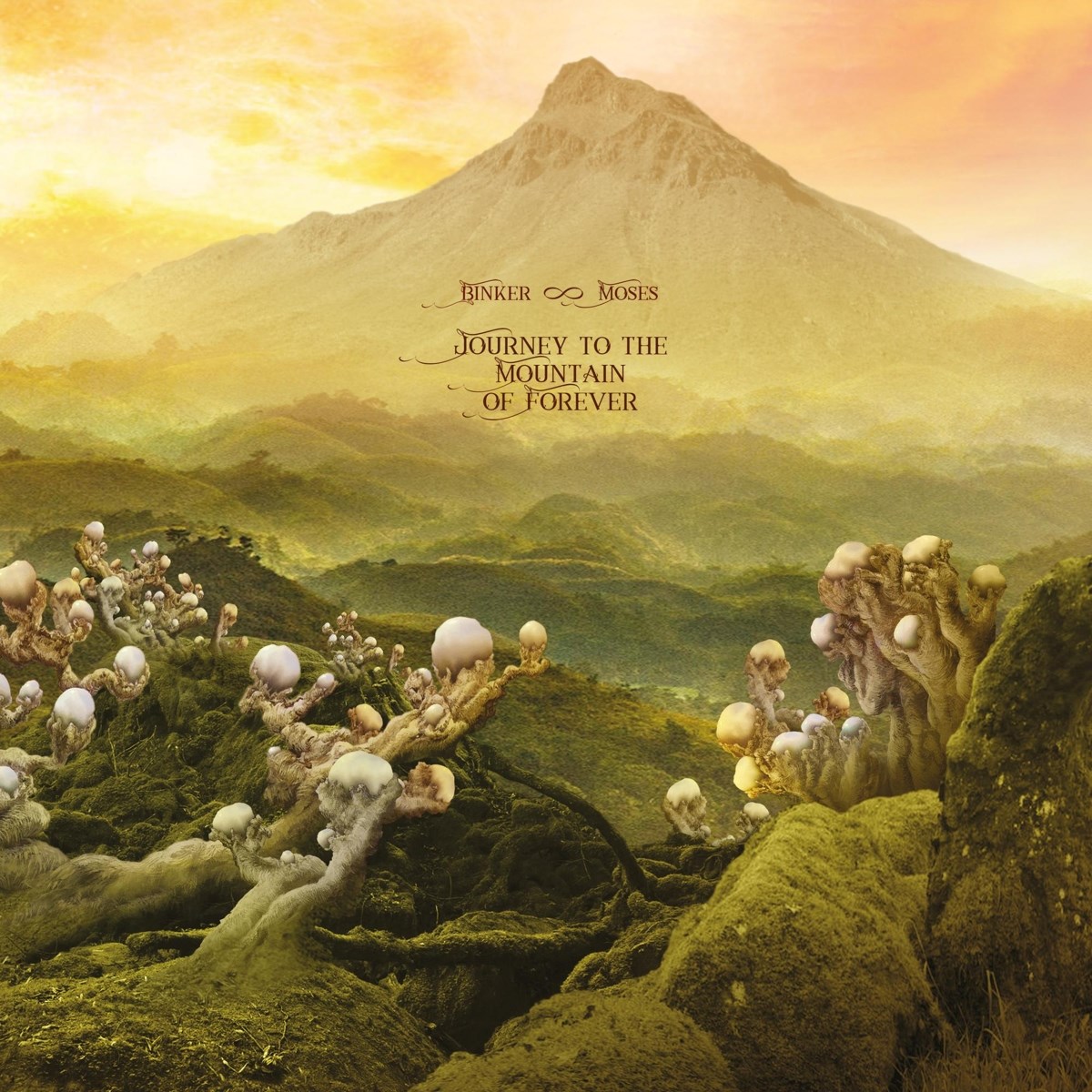 Afbeelding van Binker And Moses - Journey To The Mountain Of Forever
