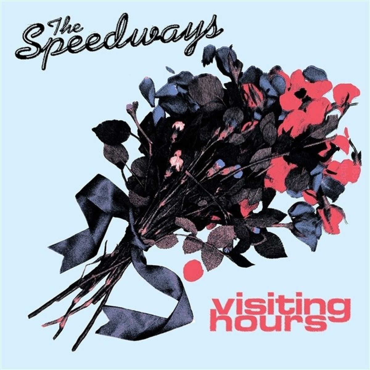 Afbeelding van The Speedways - Visiting Hours