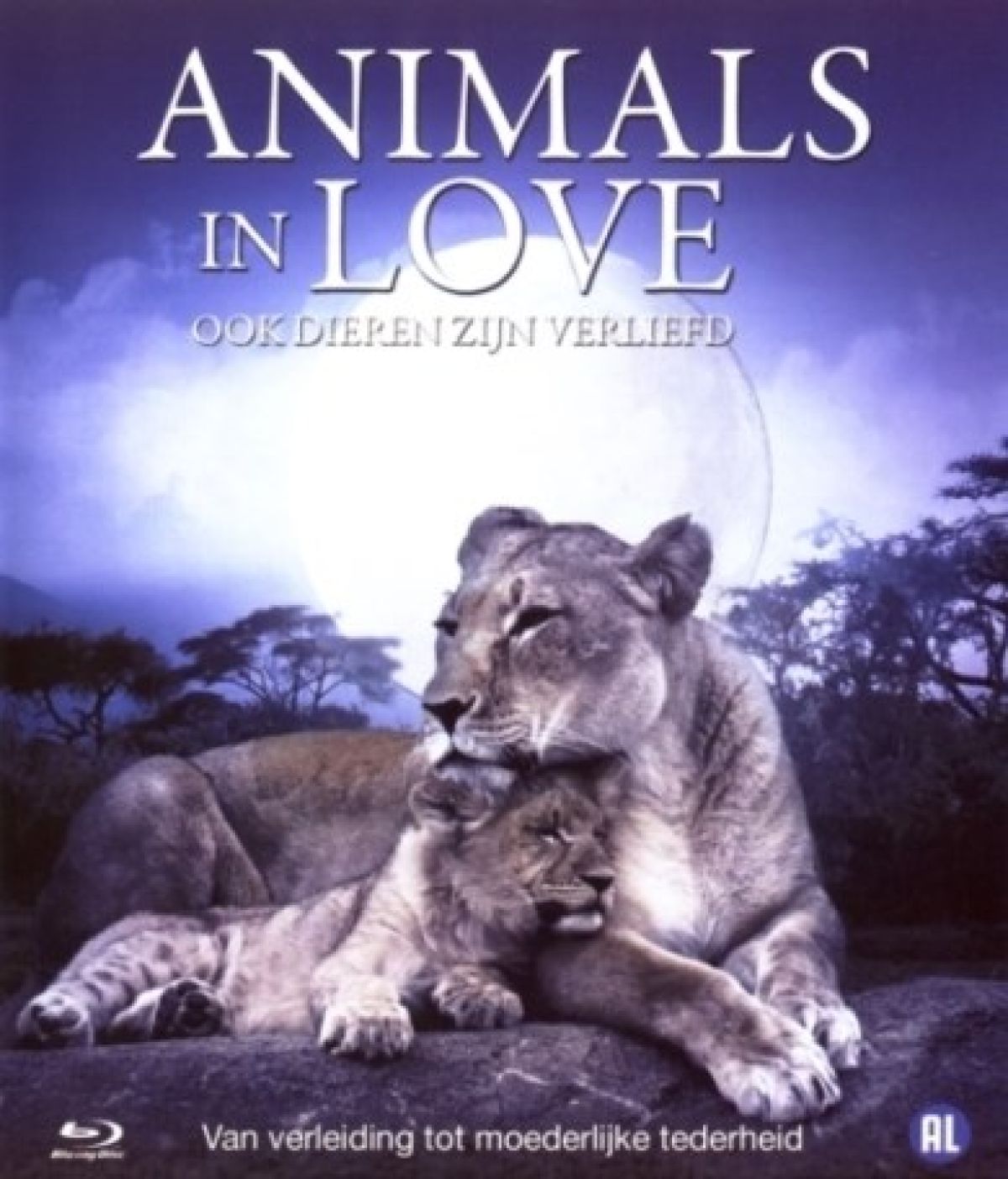 Animals In Love