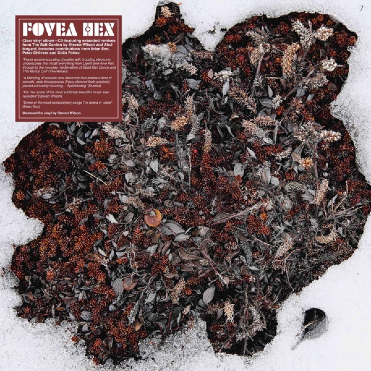 Afbeelding van Fovea Hex - The Salt Garden (Landscaped)