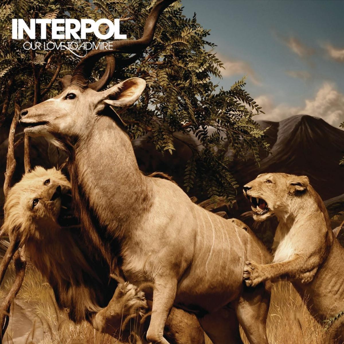 Afbeelding van Interpol - Our Love To Admire