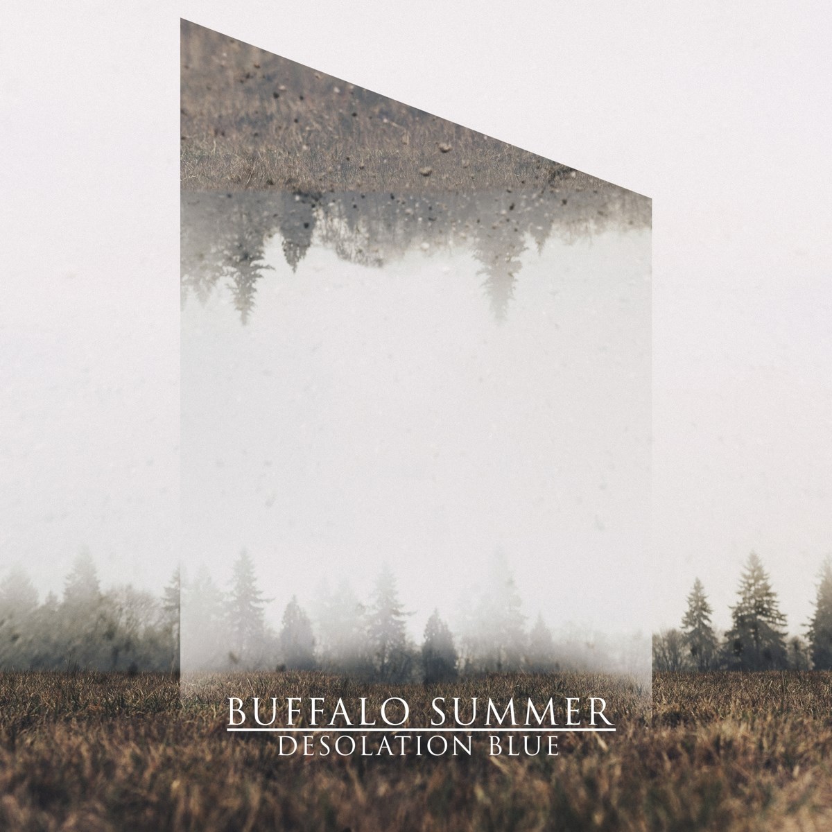 Afbeelding van Desolation Blue