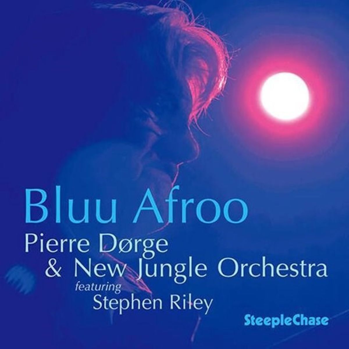 Afbeelding van Pierre Dørge & New Jungle Orchestra - Bluu Afroo