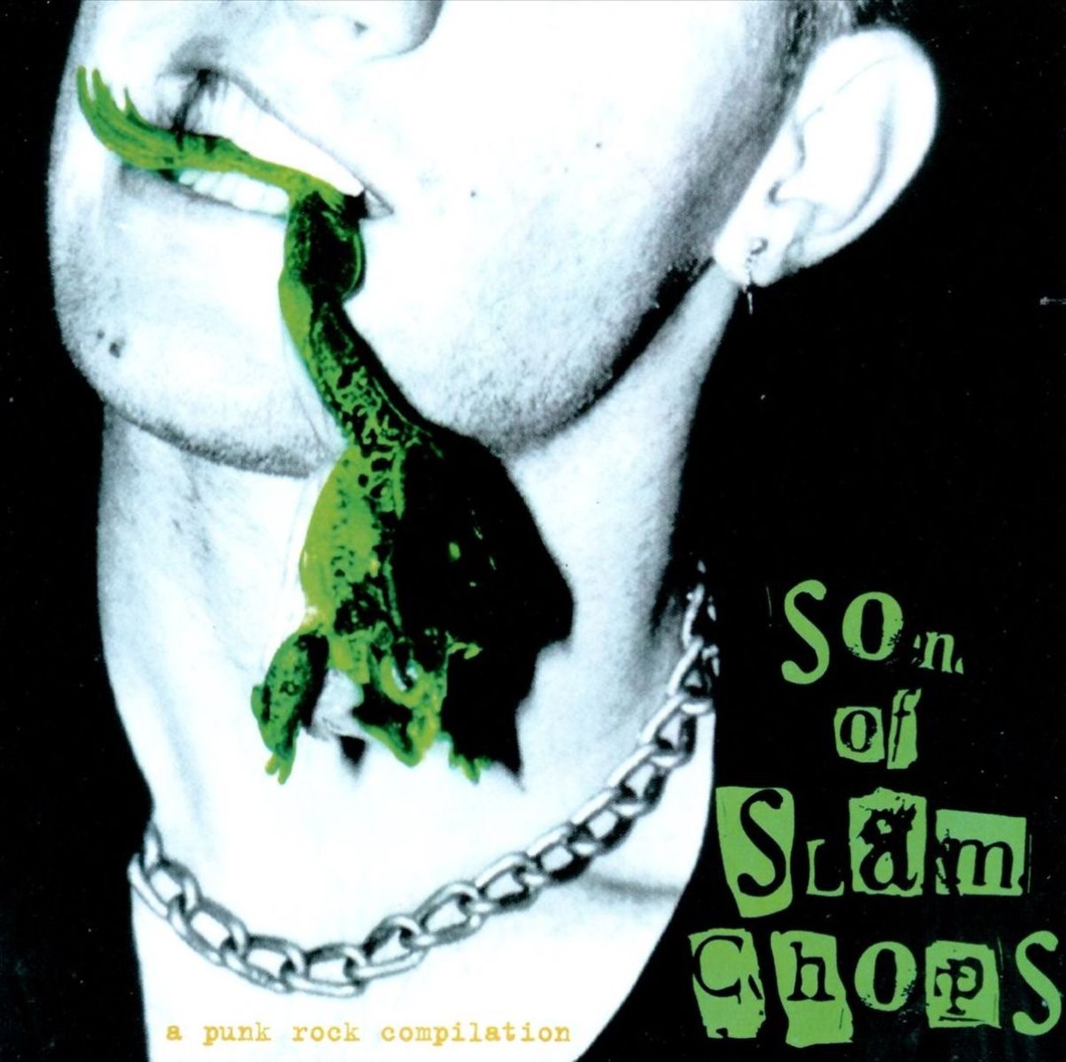 Afbeelding van Various Artists - Son Of Slam Chops