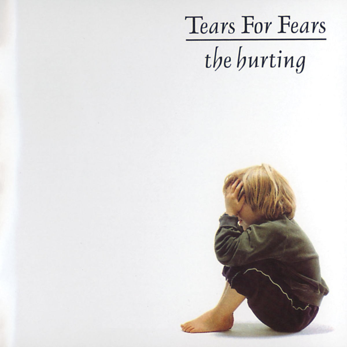 Afbeelding van Tears For Fears - The Hurting