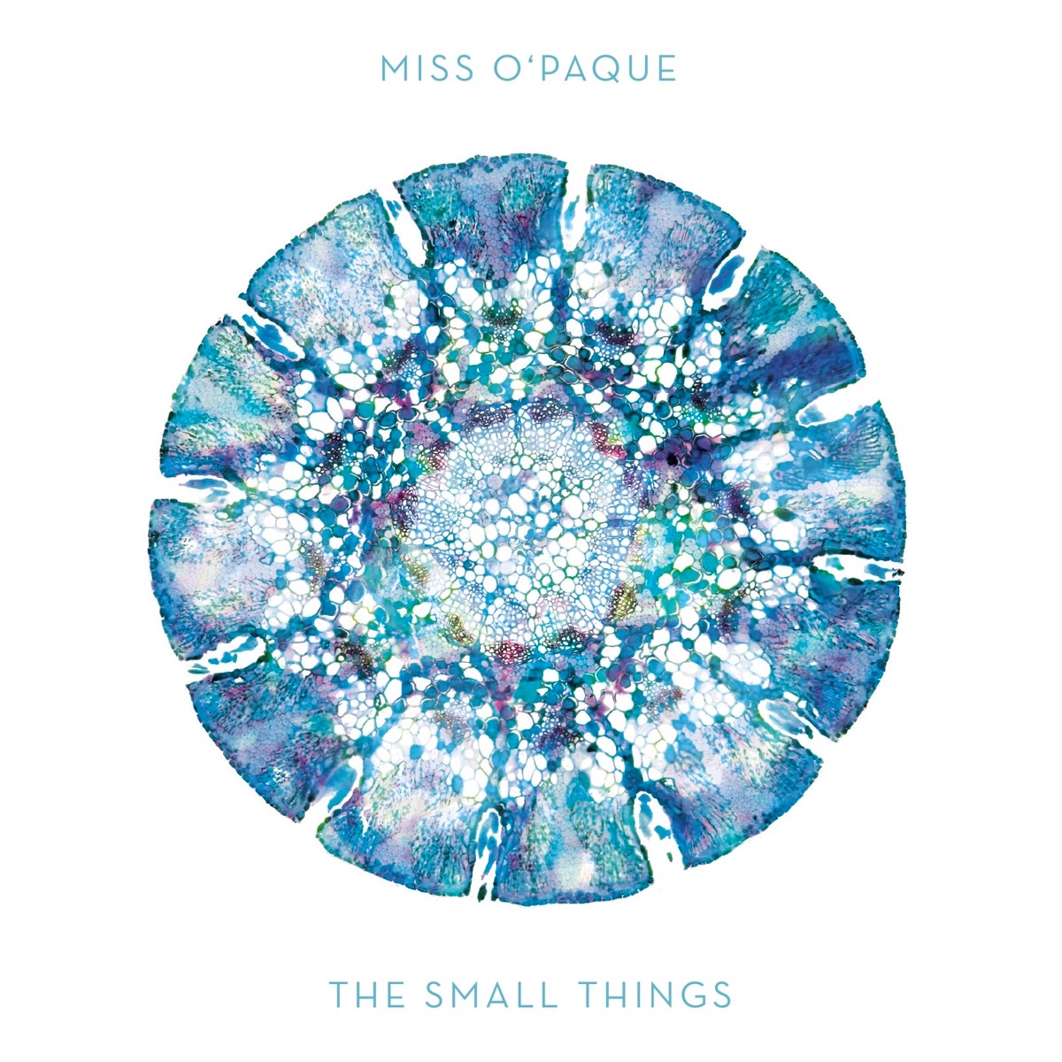Afbeelding van Miss O'Paque - The Small Things