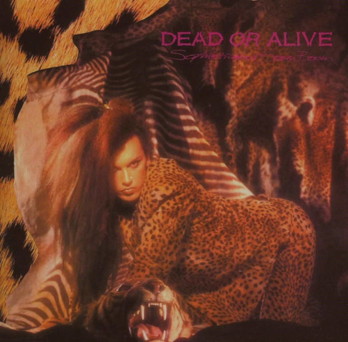 Afbeelding van Dead Or Alive - Sophisticated Boom Boom