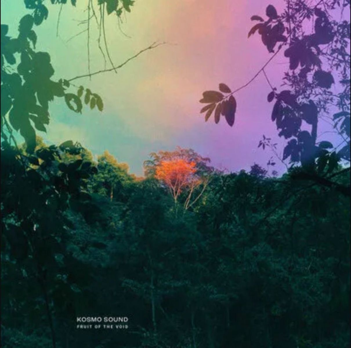 Afbeelding van Kosmo Sound - Fruit Of The Void