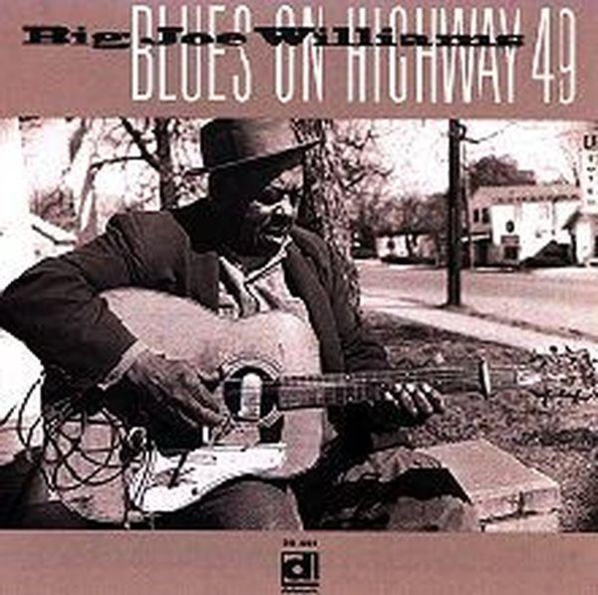 Afbeelding van Big Joe Williams - Blues On Highway 49