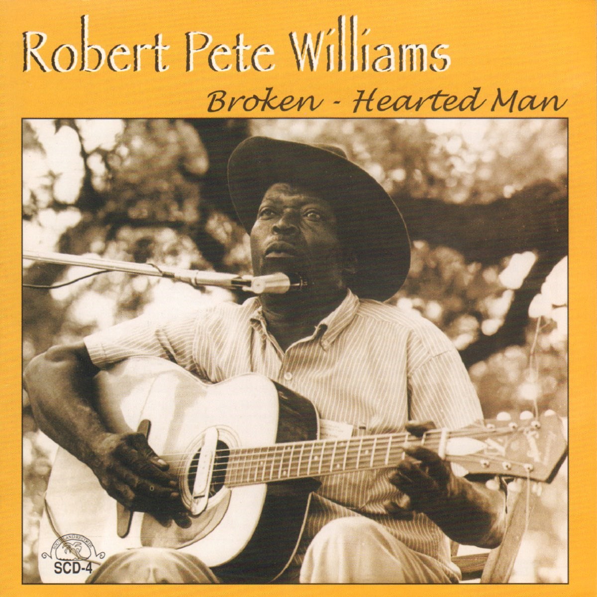 Afbeelding van Broken-Hearted Man