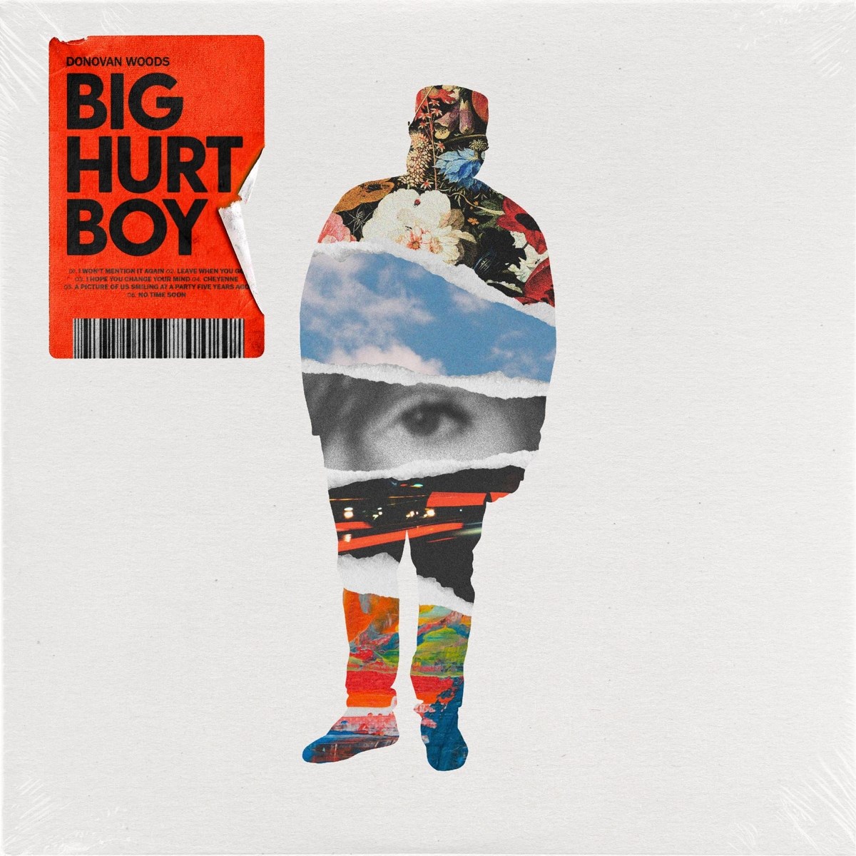 Donovan Woods - Big Hurt Boy