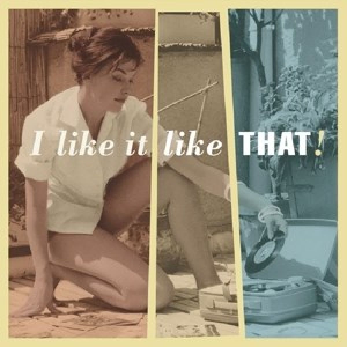 Afbeelding van Various Artists - I Like It Like That!