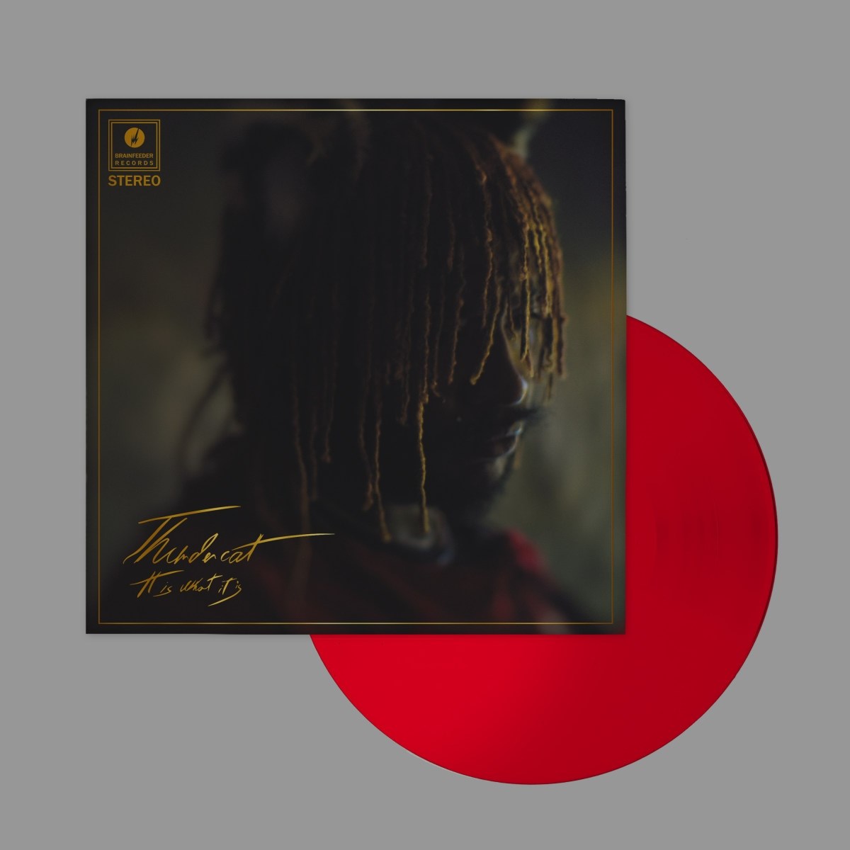 Afbeelding van Thundercat - It Is What It Is