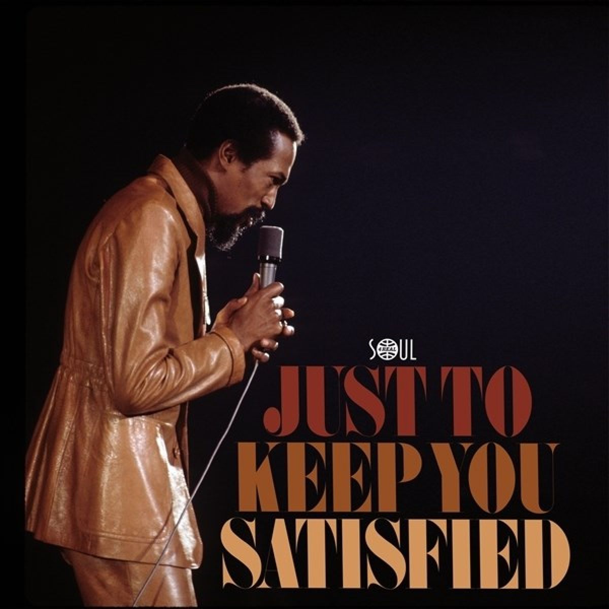 Afbeelding van Various Artists - Just To Keep You Satisfied