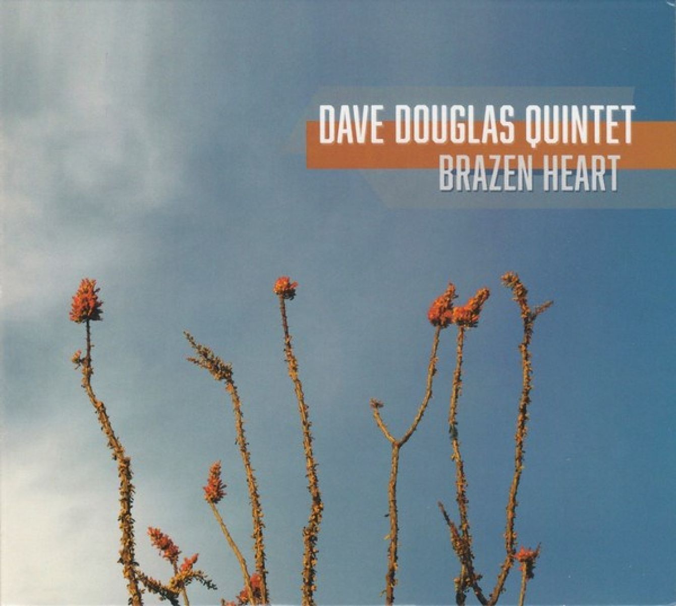 Afbeelding van Dave Douglas Quintet - Brazen Heart