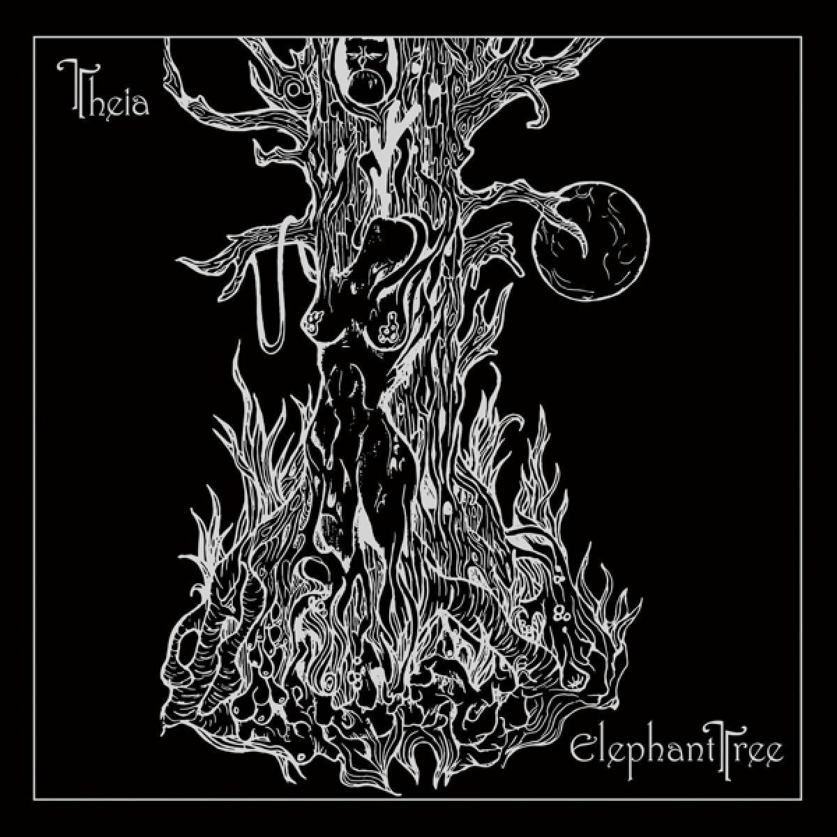 Afbeelding van Elephant Tree - Theia