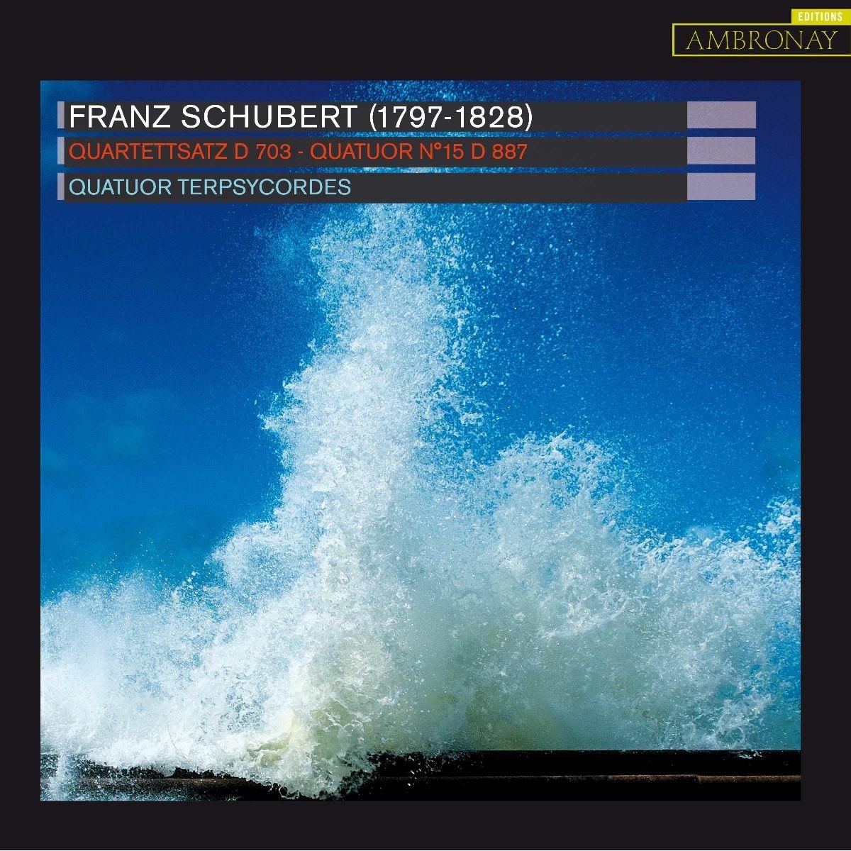 Afbeelding van Quatuor Terpsycordes - Franz Schubert: Quartettsatz D 703 - Quatuor N°15 D 887