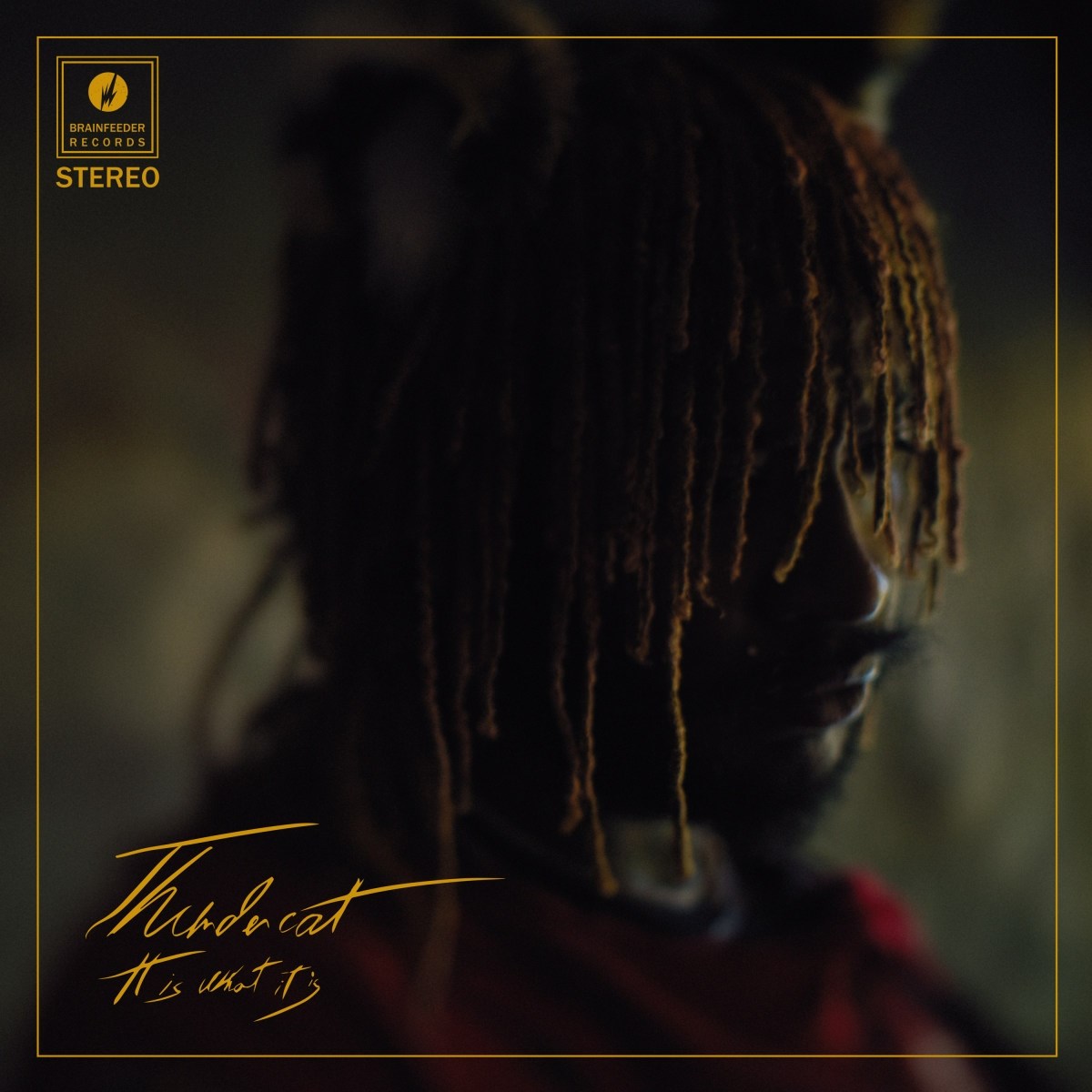 Afbeelding van Thundercat - It Is What It Is