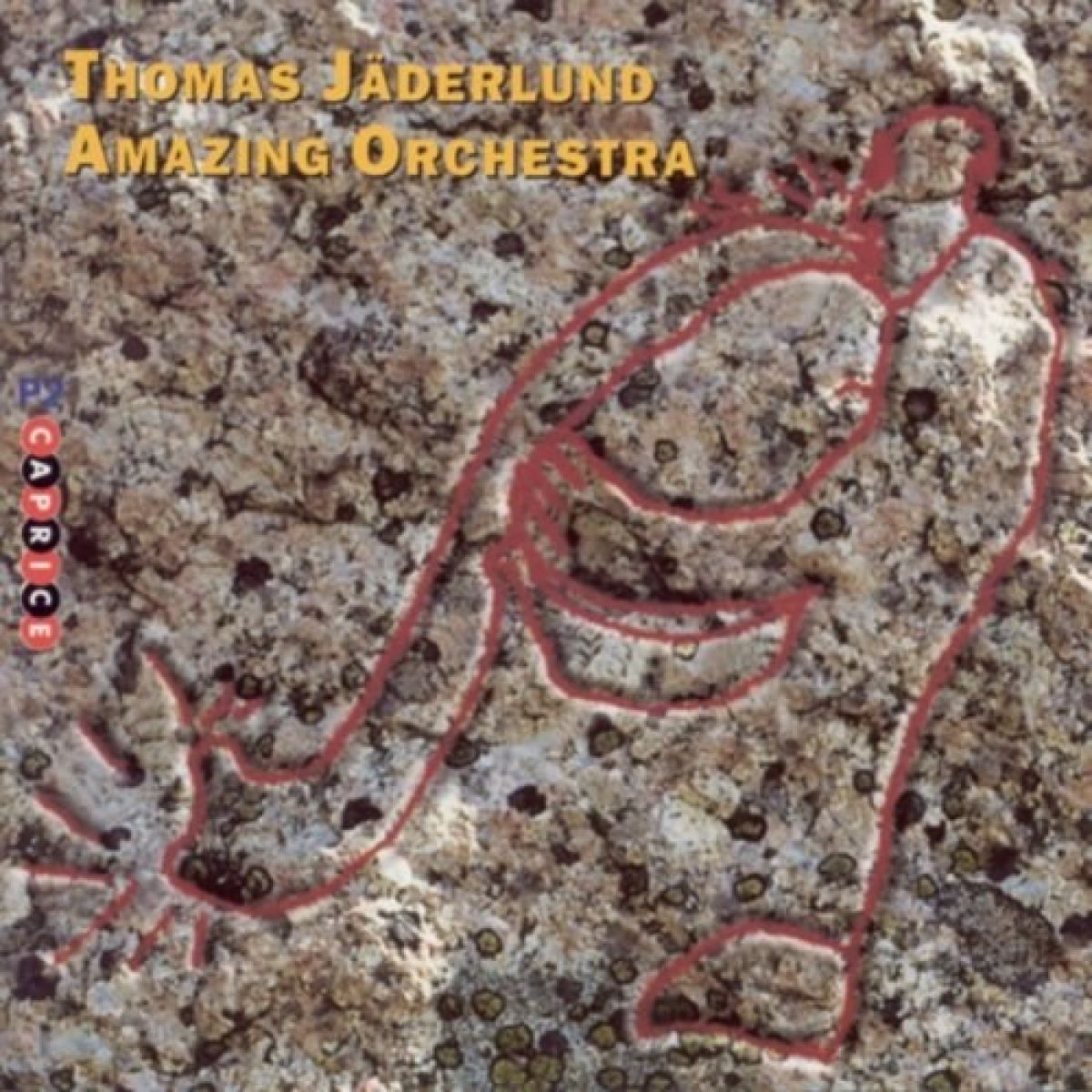 Afbeelding van Thomas Jaderlund Amazing Orchestra