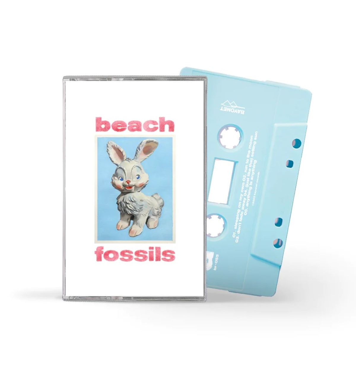 Afbeelding van Beach Fossils - Bunny