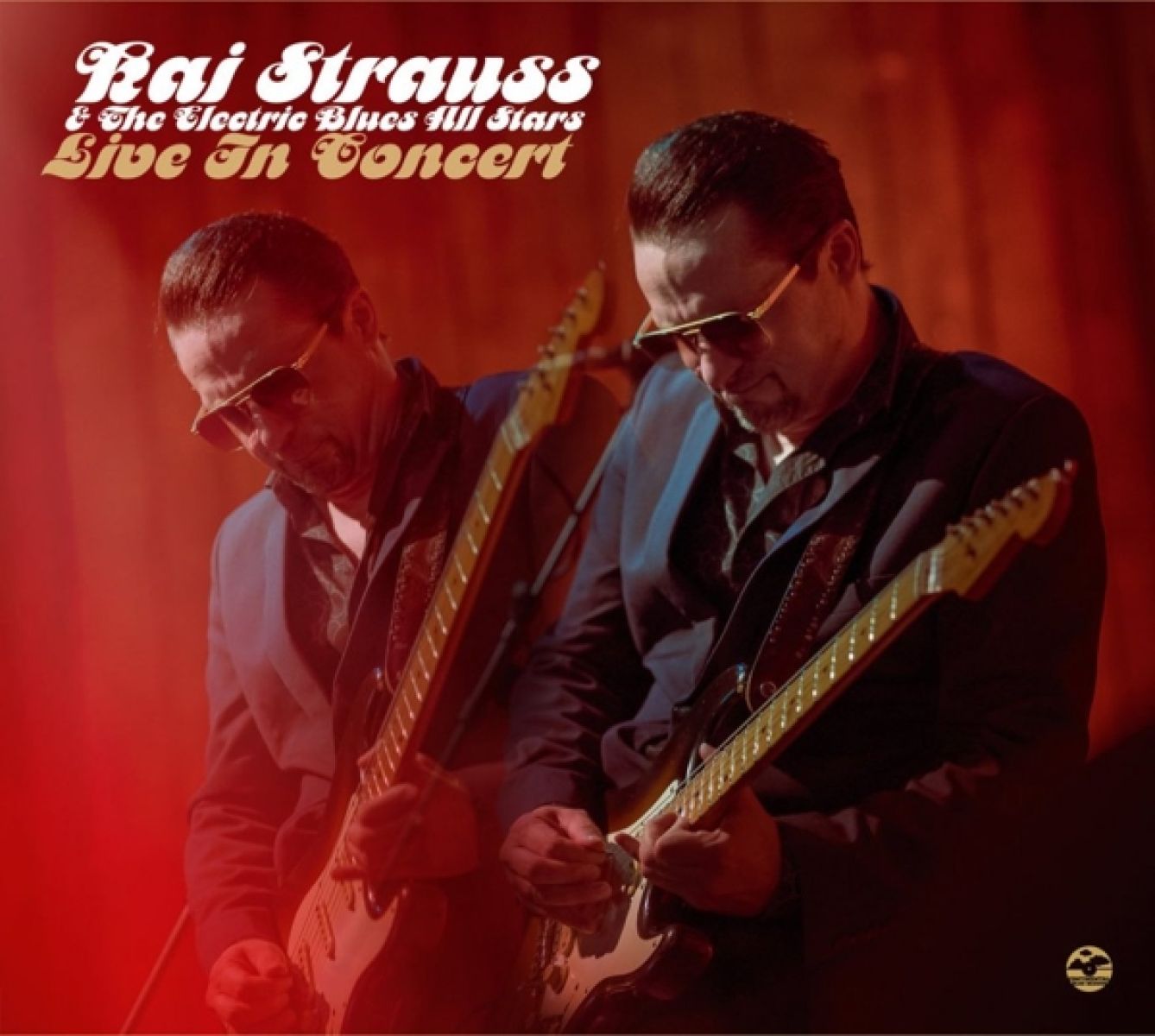 Afbeelding van Kai Strauss & The Electric Blues All Stars - Live In Concert